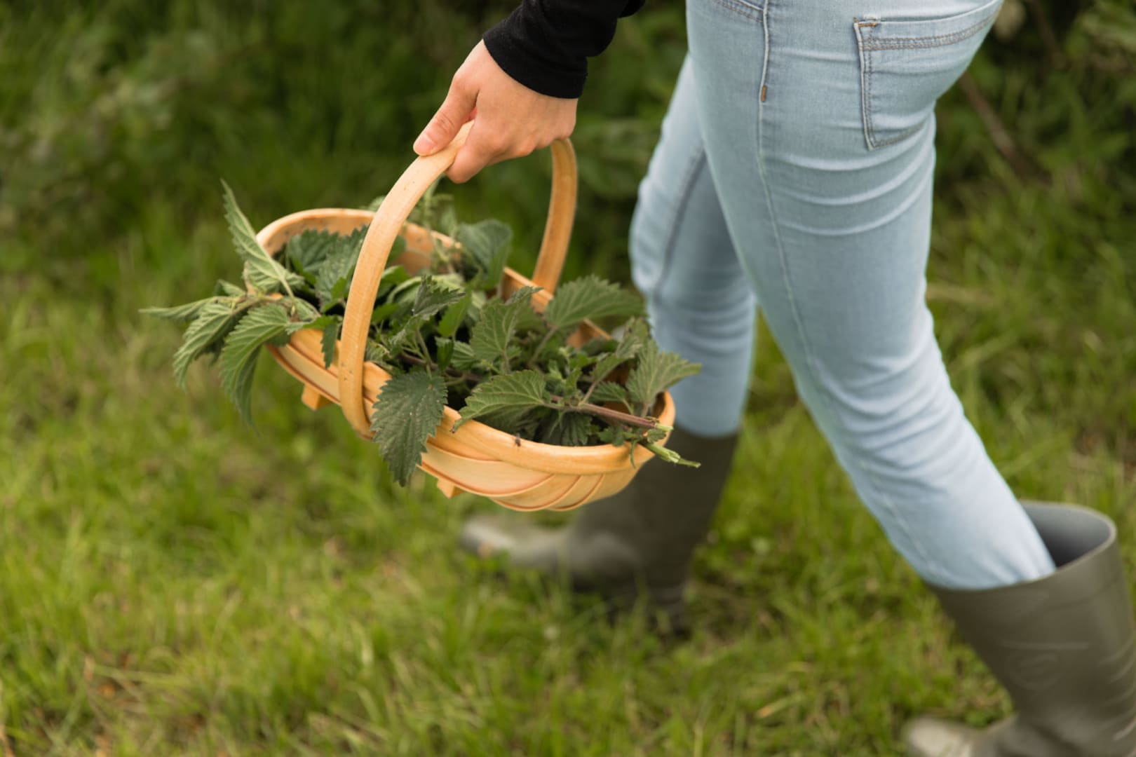 A person carrying some nettles they have foraged