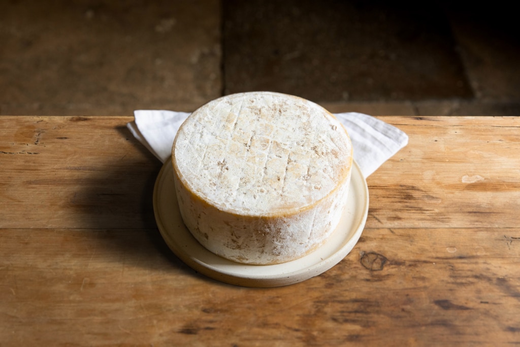 A wheel of Lynher Dairies Stithians cheese